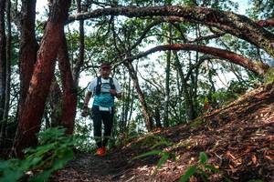 BIB: 
                            <button type="button" onclick="openModal(26345812)" class="btn btn-primary btn-sm float-right btn-popup" data-toggle="modal" data-target=".modal-high-quality">
                        <i class="fas fa-shopping-cart"></i> Add to Cart
                    </button>
                                            <button type="button" onclick="isThisMe(26345812, true)" class="btn btn-success btn-sm float-right btn-popup btn-isme hidden" data-toggle="tooltip" data-placement="bottom" title="นี่คือรูปของคุณใช่ไหม คลิกที่นี่เพื่อเอาเข้าอัลบั้ม">
                        <i class="fas fa-plus"></i> Add to album
                    </button>
                    <button type="button" onclick="isThisMe(26345812, false)" class="btn btn-warning btn-sm float-right btn-popup btn-isnotme hidden">
                        <i class="fas fa-ban"></i> Remove from album
                    </button>